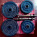 Weight Circle with Dumbbell and Barbell Bars